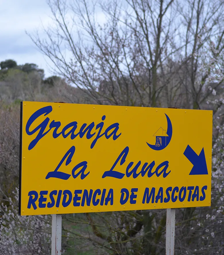 residencia para mascotas en madrid