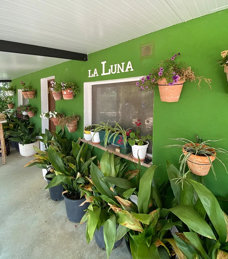 residencia para mascotas en madrid